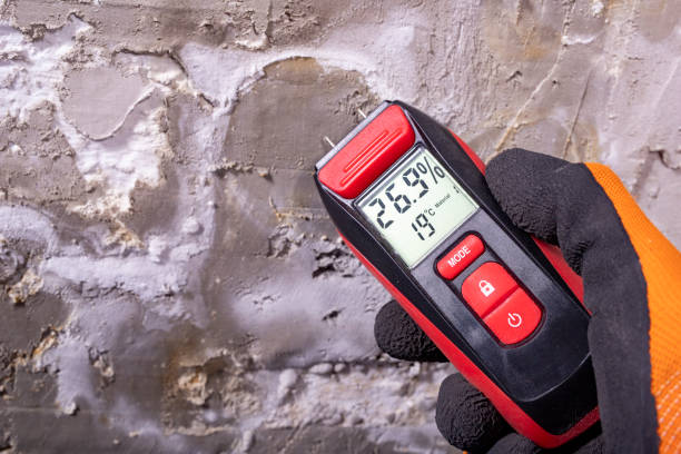 Mold Removal and Inspection in Stafford, TX