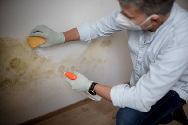 Water Damage Restoration in Stafford, TX